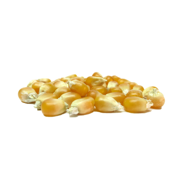 Popcorn EKO - Bild 2