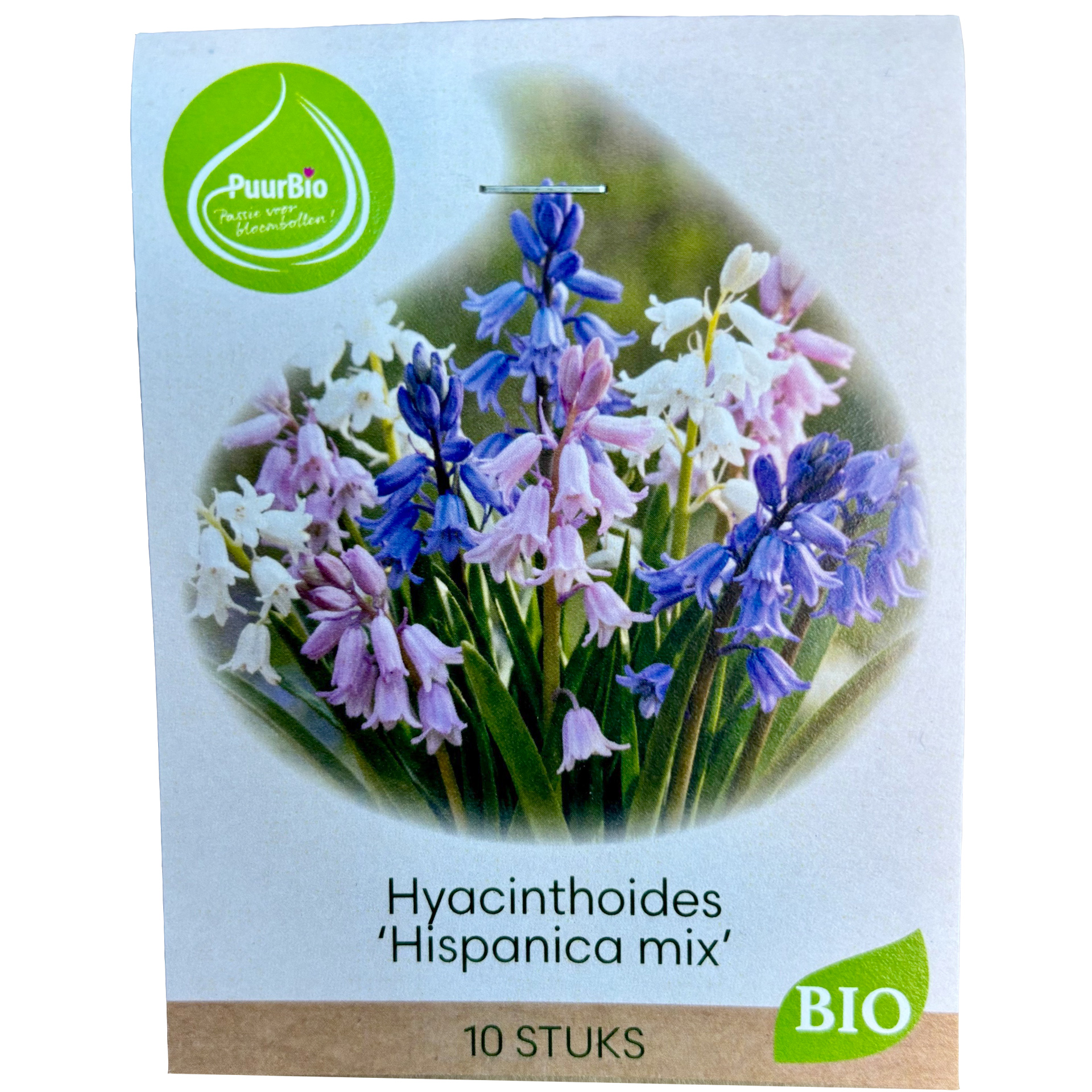 Hyacintmix Hispanica EKO 10 st lökar